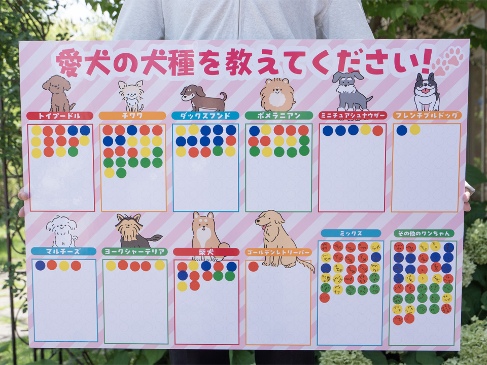 2025/5/24 ﾜﾝﾀｲﾑﾏﾙｼｪ 犬種ｱﾝｹｰﾄ結果